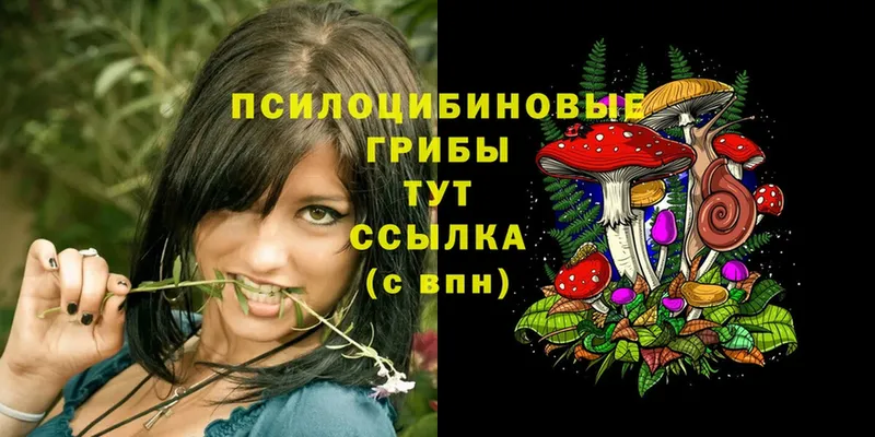 Псилоцибиновые грибы Magic Shrooms  Починок 